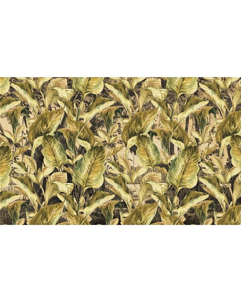 JUNGLE-VE068-2 JUNGLE-VE068-2