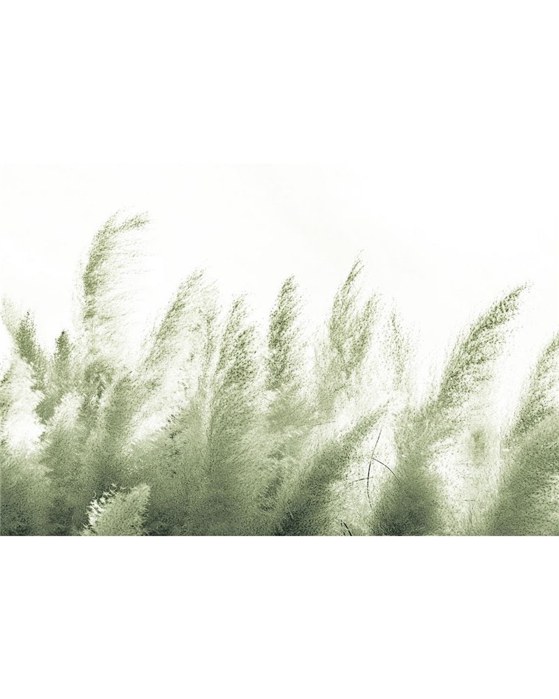 PAMPAS-VE064-1 PAMPAS-VE064-1