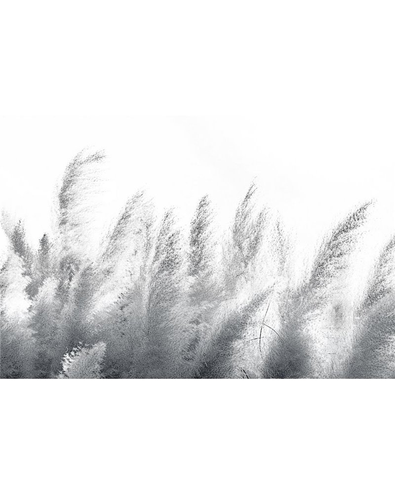 PAMPAS-VE064-2 PAMPAS-VE064-2