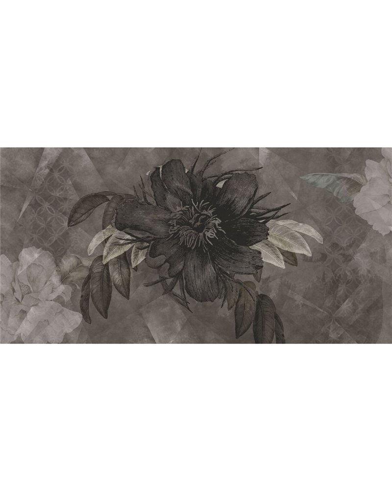 BOTANY-VE084-1 BOTANY-VE084-1