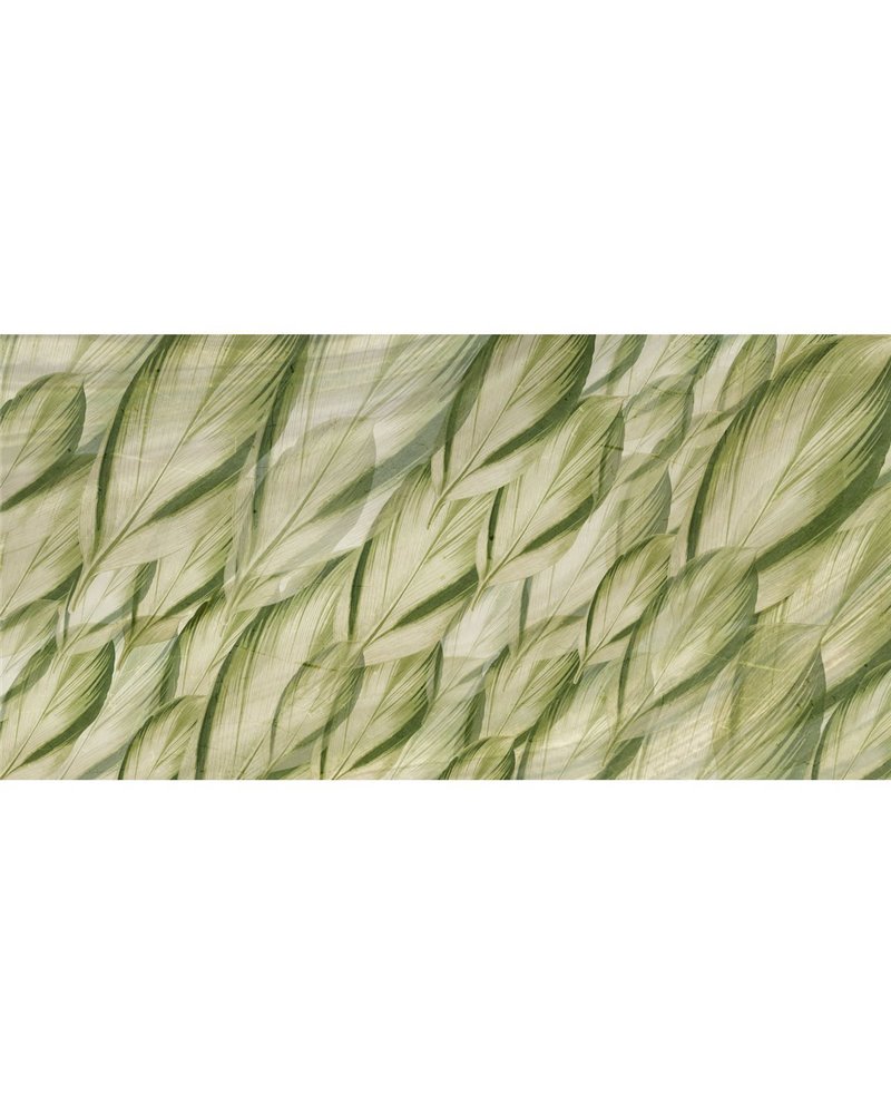 DRACAENA-SM006-1 DRACAENA-SM006-1