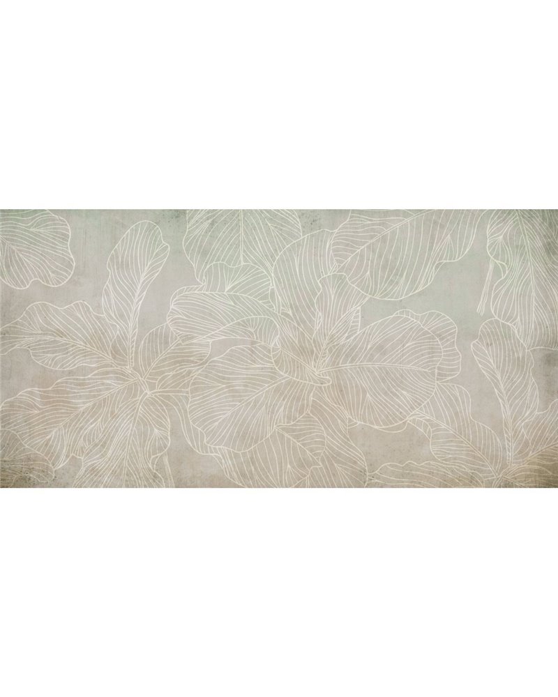 FICUS-SM011-1 FICUS-SM011-1