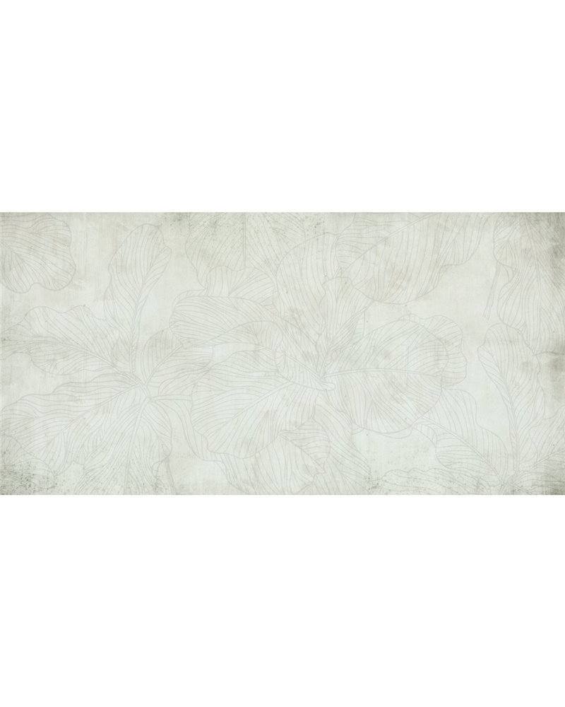 FICUS-SM011-2 FICUS-SM011-2