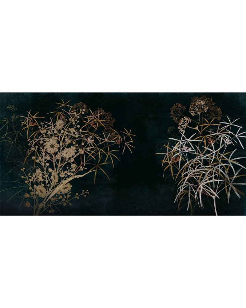 FUSCUS-VE093-1 FUSCUS-VE093-1