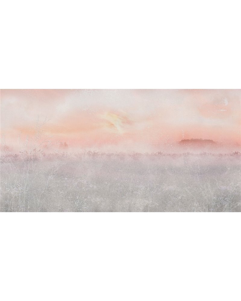 OCCASUS-VE089-1 OCCASUS-VE089-1