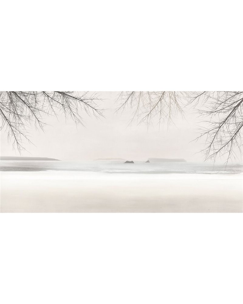 RAMUS-VE101-1 RAMUS-VE101-1