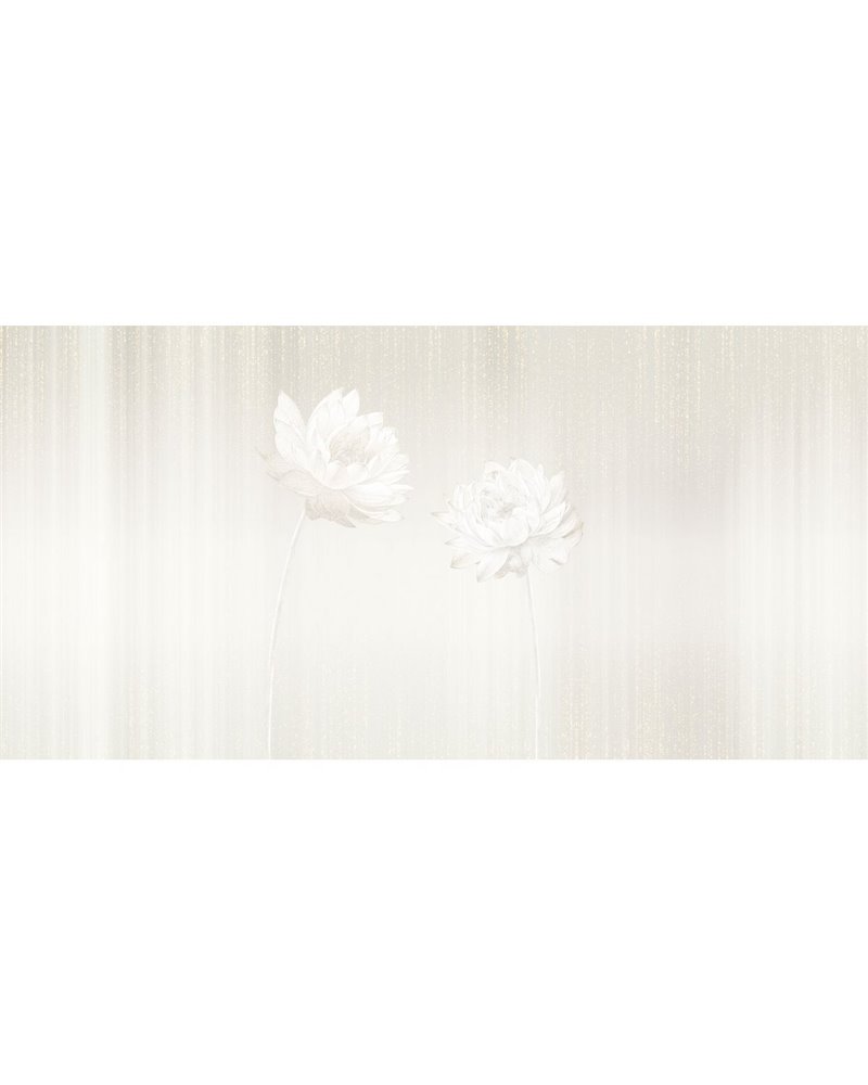 ÂME FR001-1 ÂME FR001-1