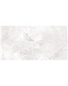 AUREA-AP062-1