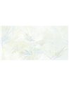 AUREA-AP062-2