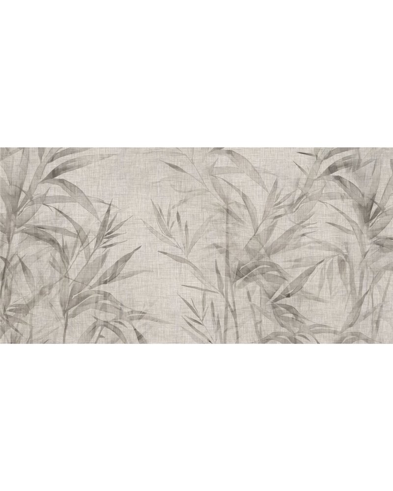GINSENG-AP080-1 GINSENG-AP080-1