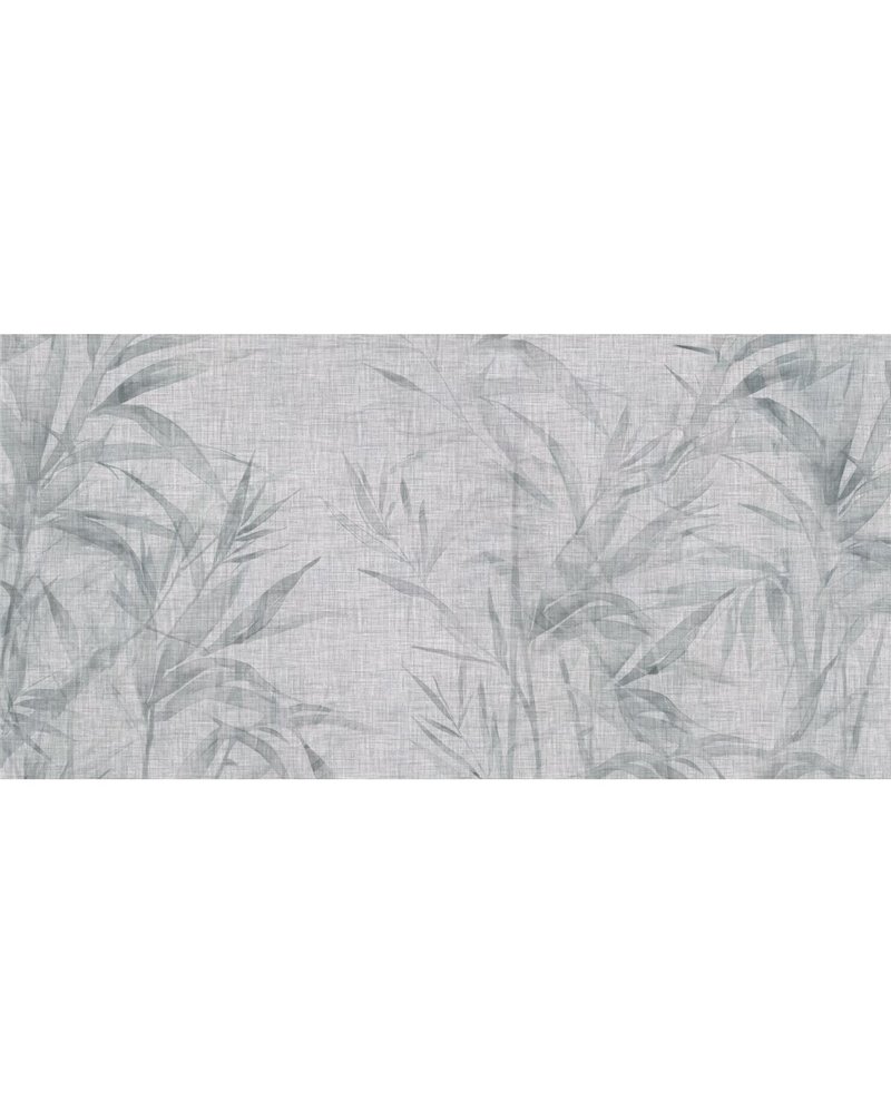 GINSENG-AP080-2 GINSENG-AP080-2