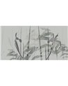 NARCISO-AP086-2