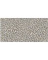 RINASCIMENTO-AP035-1