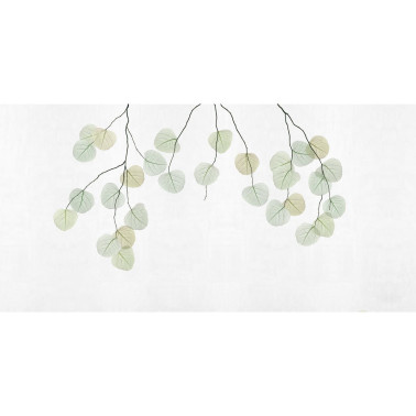 SKELETON-LEAF-VE161-1