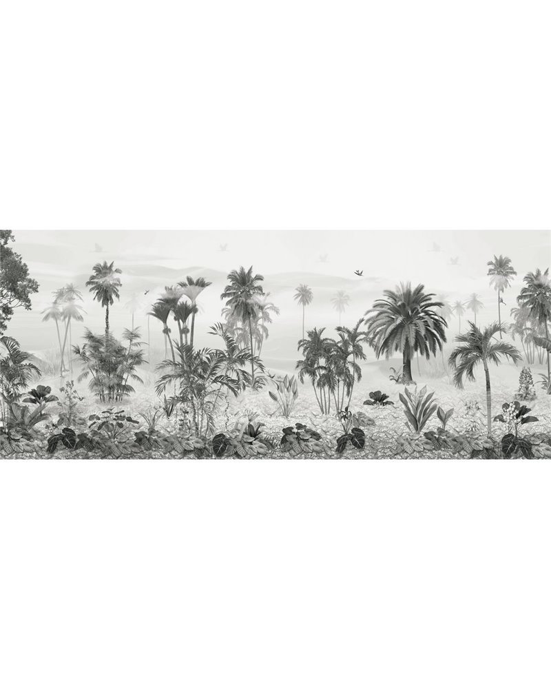 SUMATRA-VE167-2 SUMATRA-VE167-2