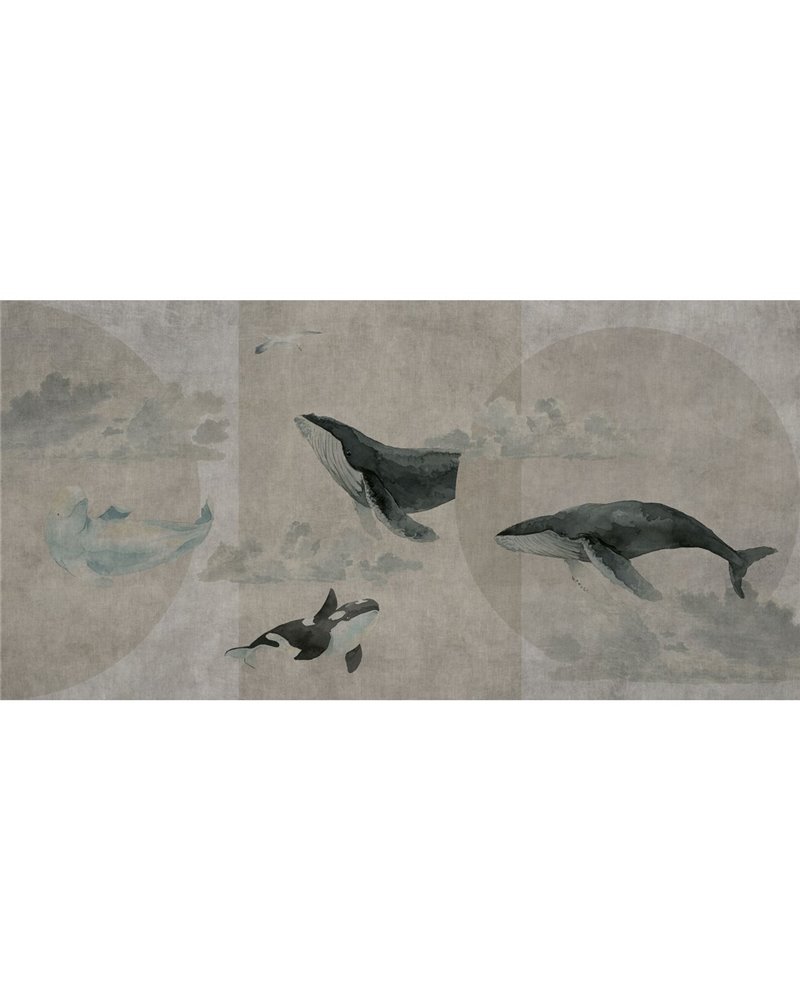WHALES-SS013-1 WHALES-SS013-1