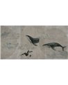 WHALES-SS013-1