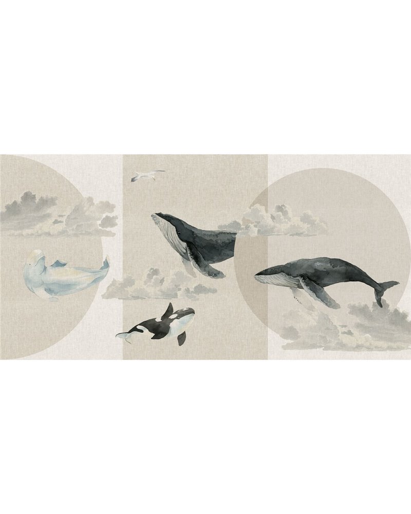 WHALES-SS013-2 WHALES-SS013-2