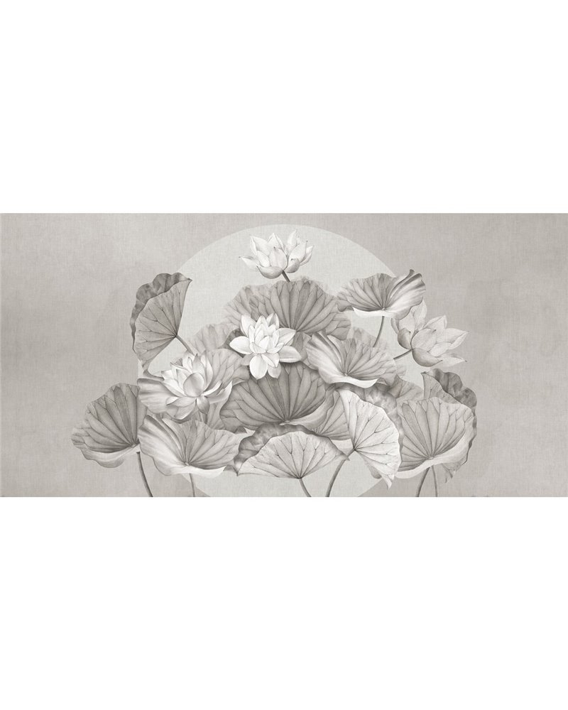 ZENLOTUS-VE168-2 ZENLOTUS-VE168-2