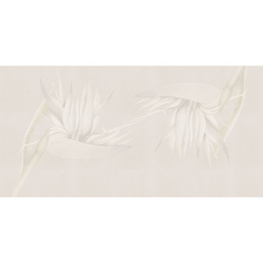 CREAZIONE-AP025-1