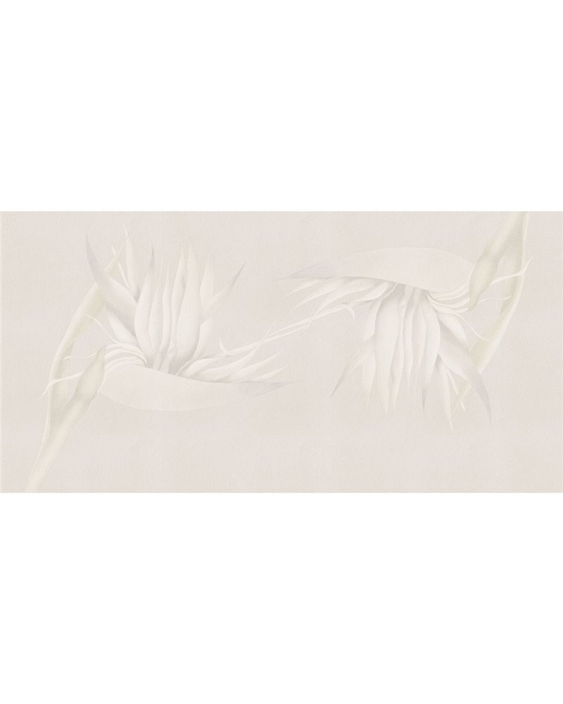 CREAZIONE-AP025-1 CREAZIONE-AP025-1