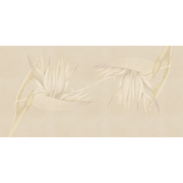 CREAZIONE-AP025-2