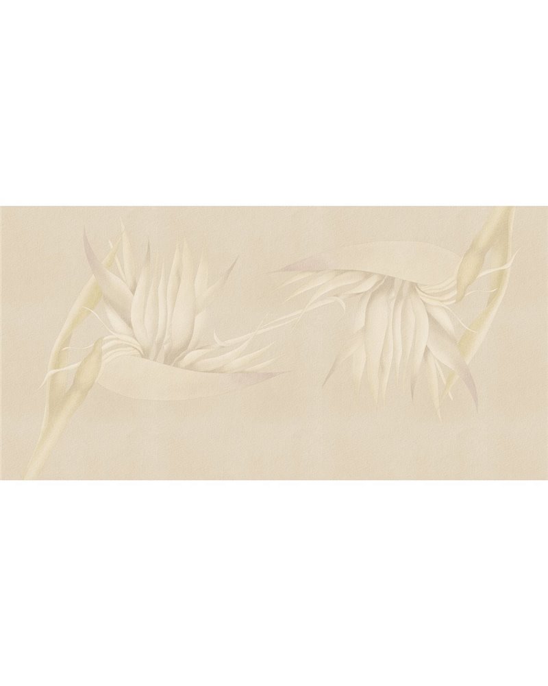 CREAZIONE-AP025-2 CREAZIONE-AP025-2