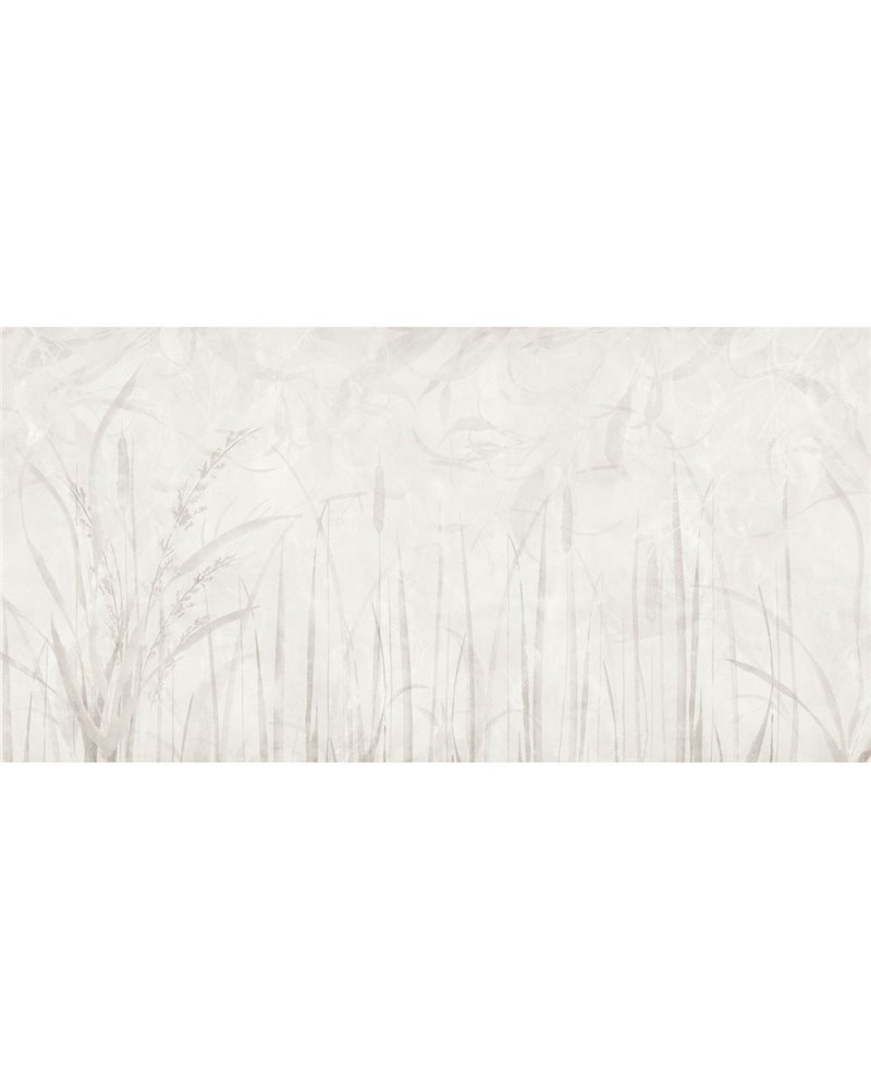 IVORY-AP011-1 IVORY-AP011-1