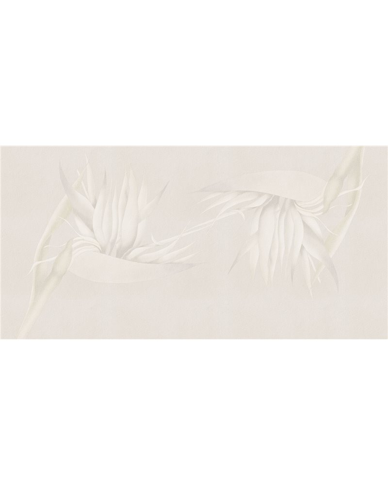 CREAZIONE-AP025-1