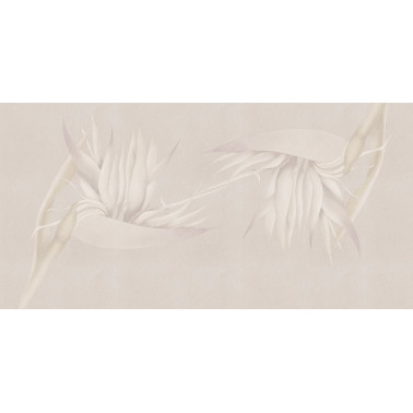 CREAZIONE-AP025-3