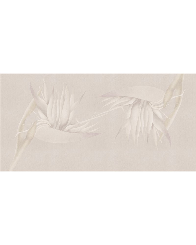 CREAZIONE-AP025-3