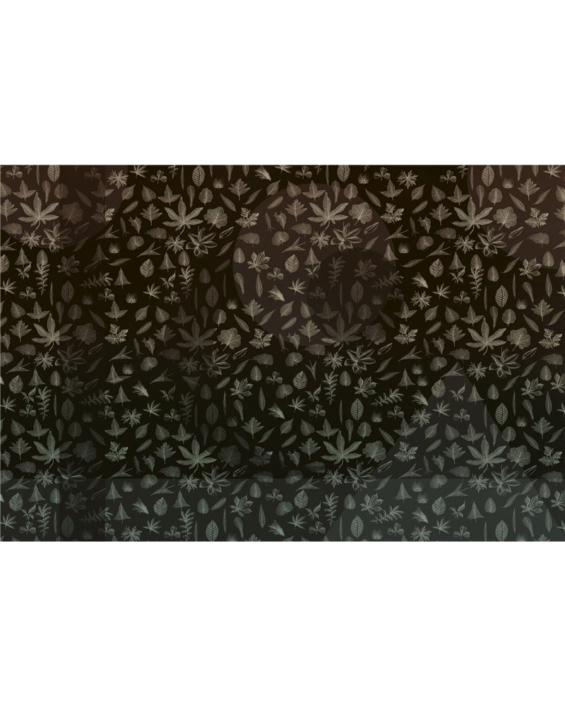 ECLIPSE-VE053-2
