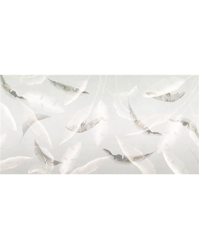 FLUTTUA-AP022-1