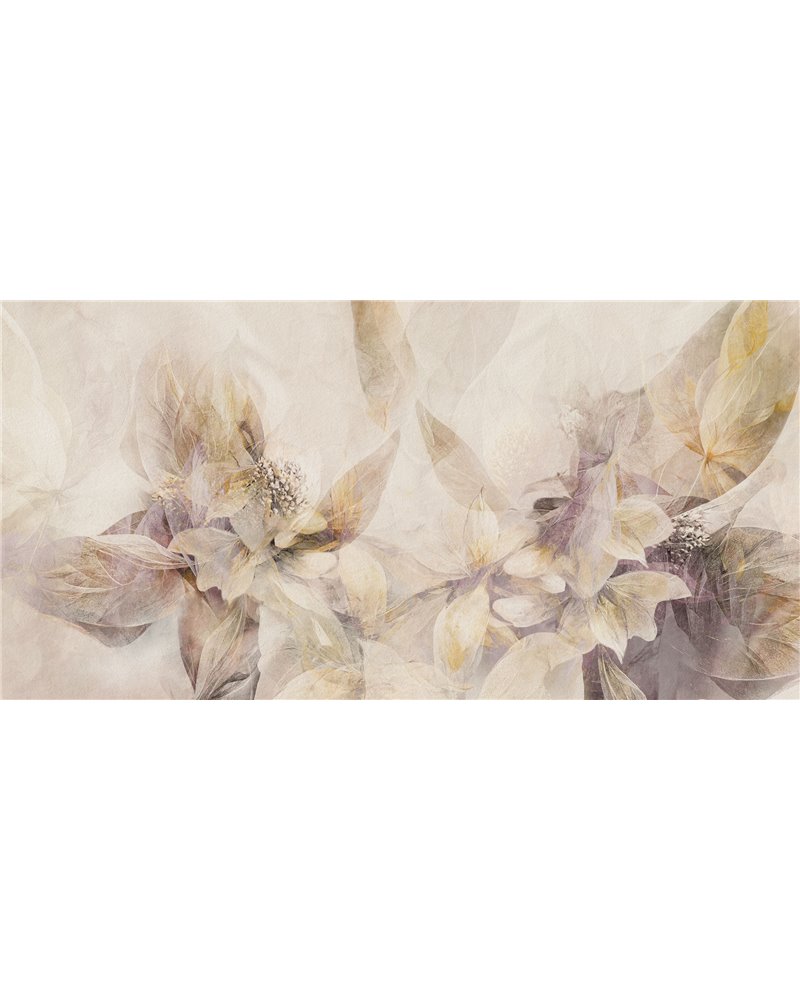 NINFA-AP043-2