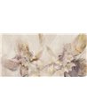 NINFA-AP043-2