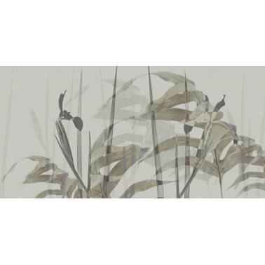 NARCISO-AP086-3