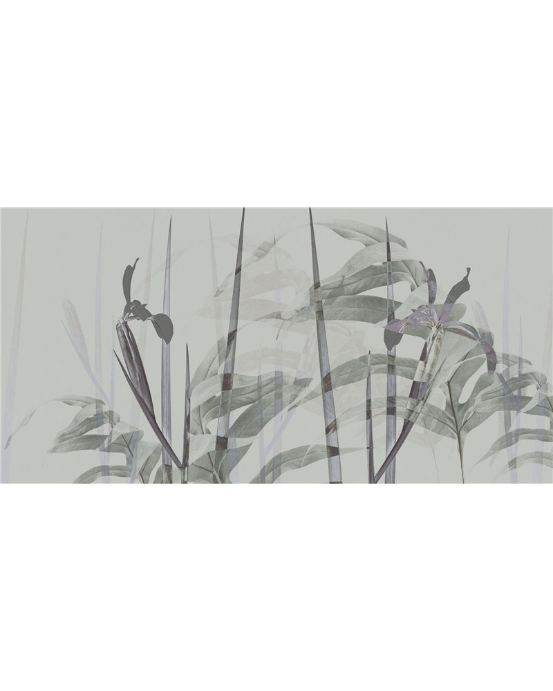 NARCISO-AP086-2