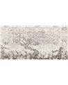 MADAME-AP058-1