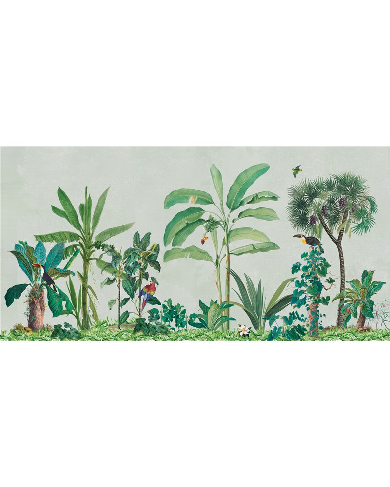 LUCUMA-VE092-1