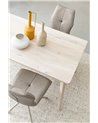TABLE SAHANA 173X90