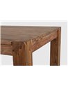 MESA EXTEN. SALFORD 160-260X100