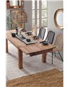 MESA EXTEN. SALFORD 160-260X100