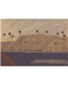 Palms View M4903-1