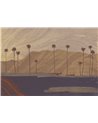 Palms View M4903-1