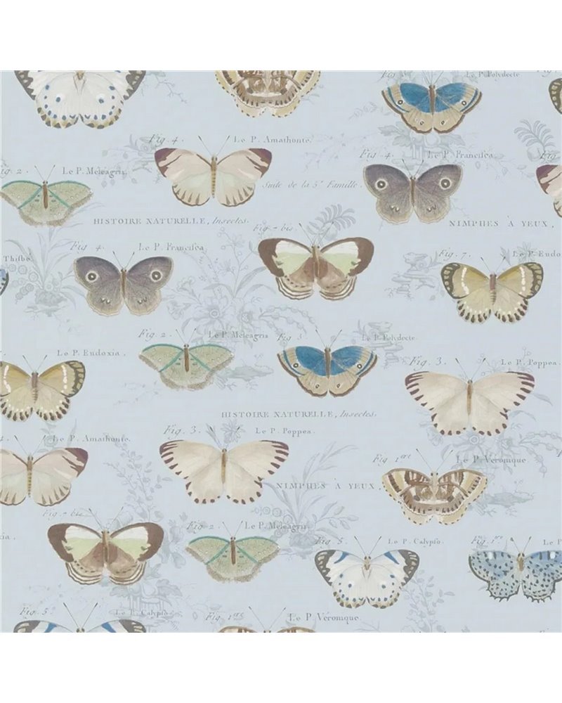 Butterfly Studies Cloud Blue PJD6017-02 Butterfly Studies Cloud Blue PJD6017-02