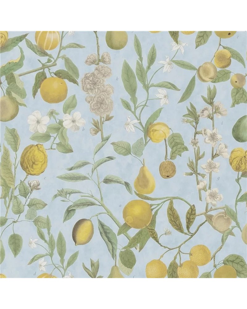 Orchard Fruits Sky Blue PJD6018-02 Orchard Fruits Sky Blue PJD6018-02