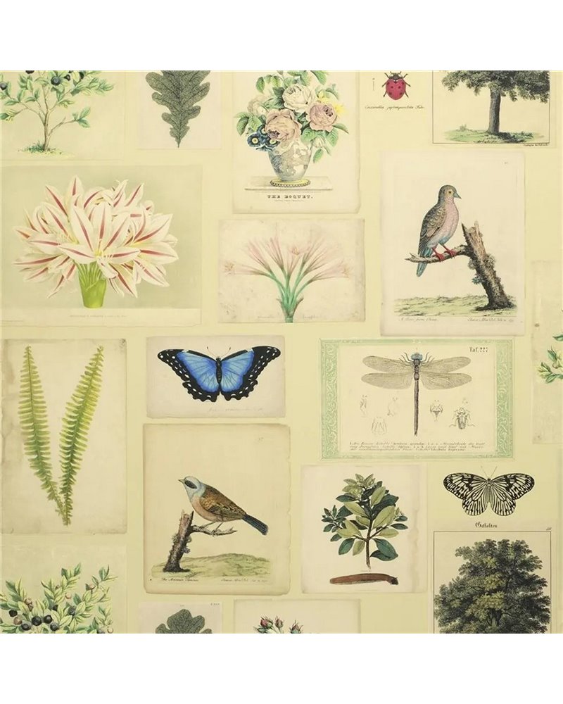 Flora and Fauna Parchment PJD6001-01 Flora and Fauna Parchment PJD6001-01