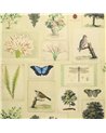 Flora and Fauna Parchment PJD6001-01