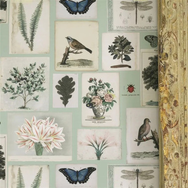 Flora and Fauna Cloud Blue...