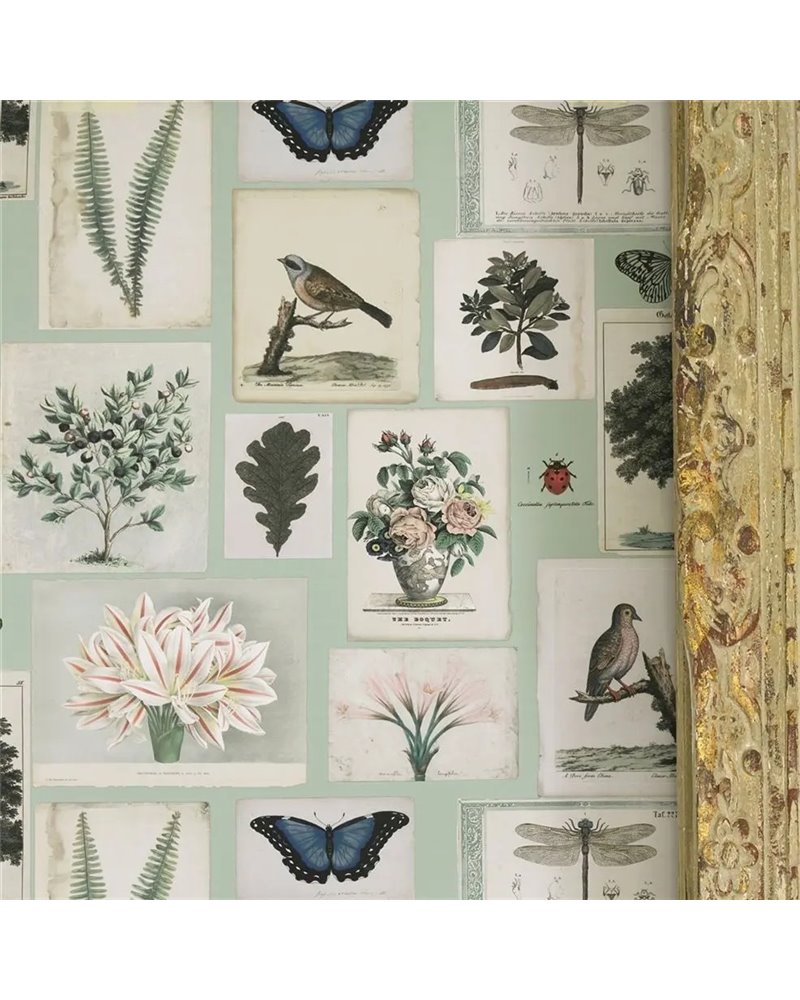 Flora and Fauna Cloud Blue PJD6001-02